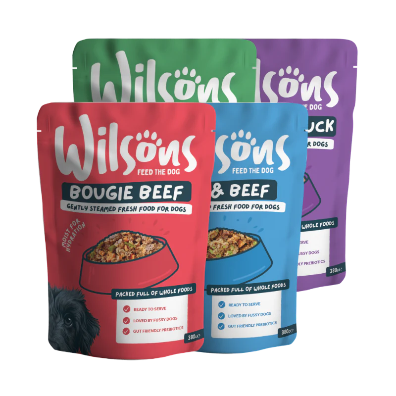 All Full Sized Dog Food